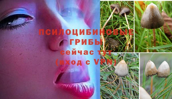 кокс Абаза